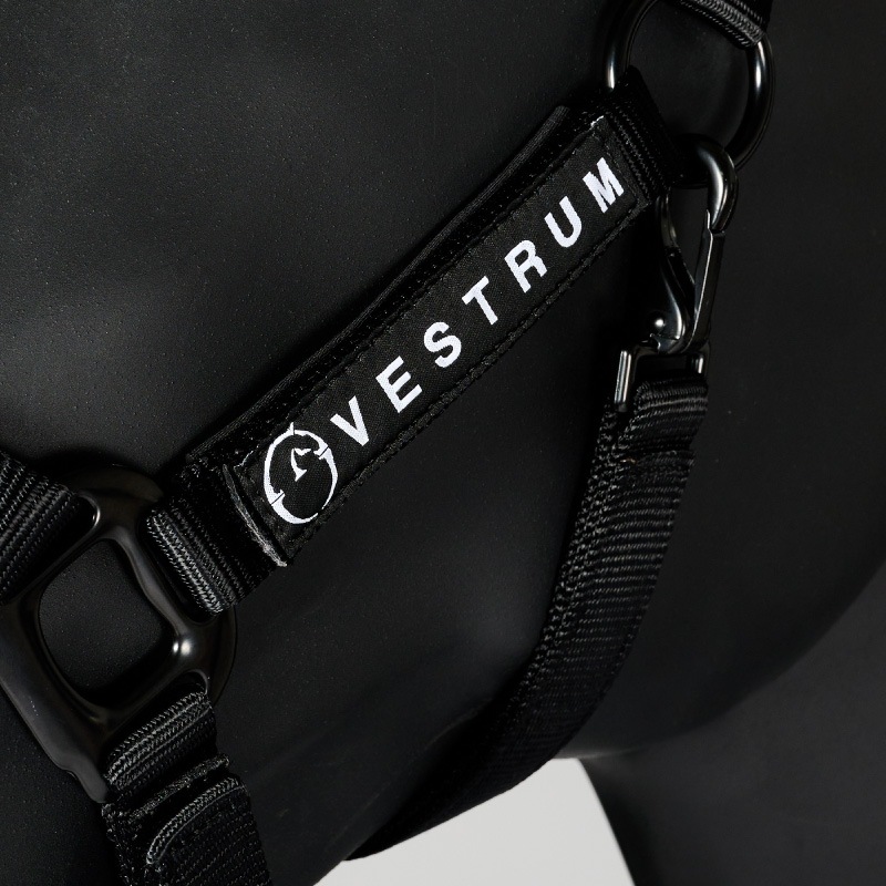 VESTRUM�ʥ������ȥ��� ������ ̵���ȼꥻ�å�