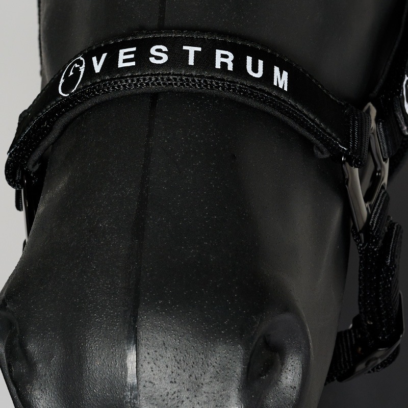 VESTRUM�ʥ������ȥ��� ������ ̵���ȼꥻ�å�