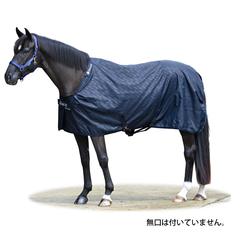 �ڿ���ե�����Bucas�ʥӥ塼������ ���ơ��֥륷���� 0g