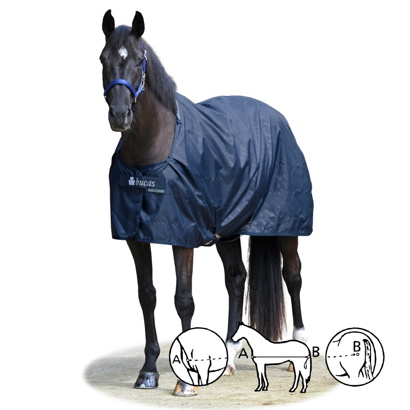 �ڿ���ե�����Bucas�ʥӥ塼������ ���ơ��֥륷���� 0g