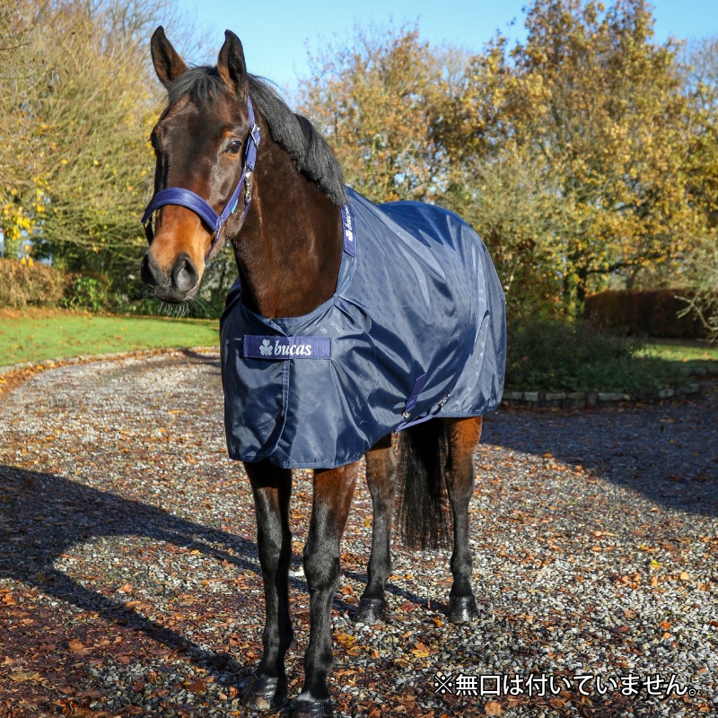 �ڿ���ե�����Bucas�ʥӥ塼������ ���ơ��֥륷���� 0g