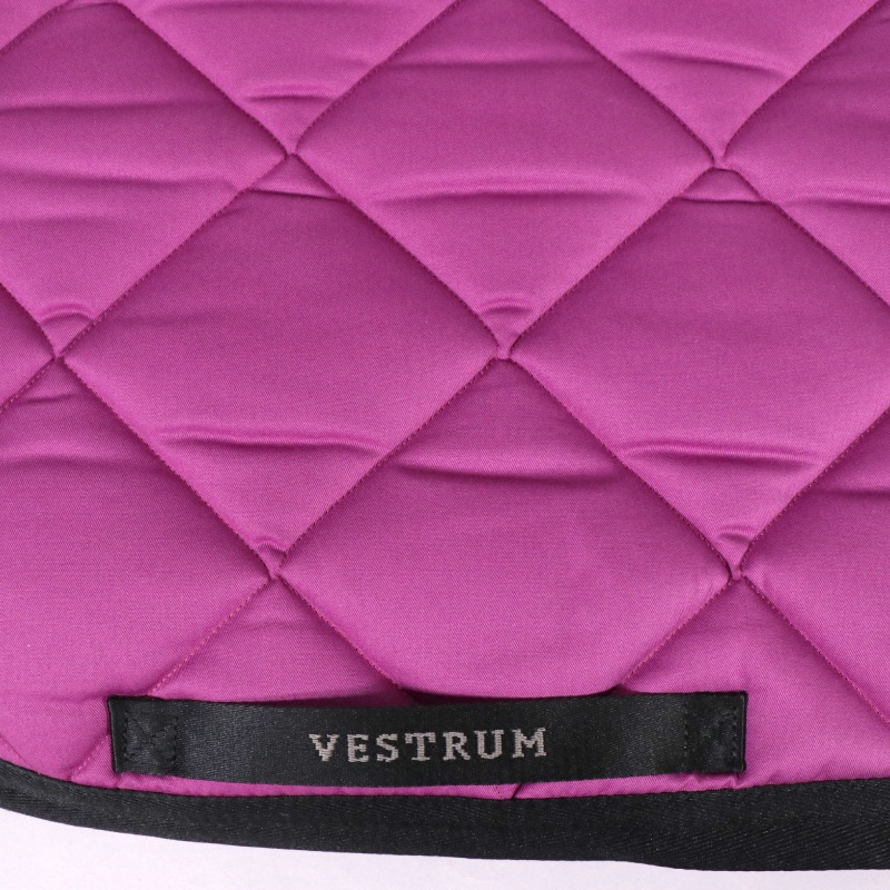 VESTRUM�ʥ������ȥ��� ������ ���å���