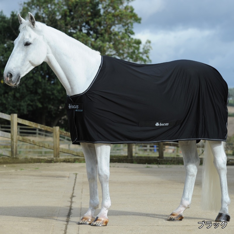 Bucas�ʥӥ塼������ �ѥ�����顼