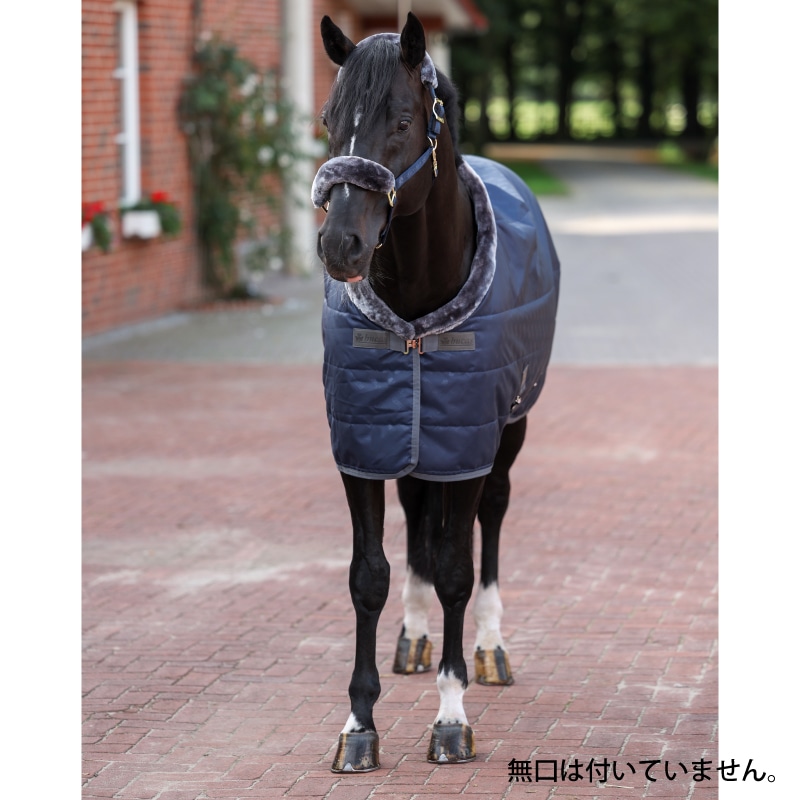 ��P���å��оݡ�Bucas�ʥӥ塼������ ���硼�饤�� ���ơ��֥�饰 150g