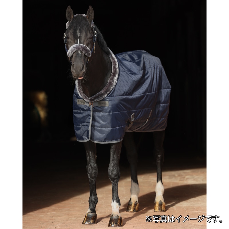 ��P���å��оݡ�Bucas�ʥӥ塼������ ���硼�饤�� ���ơ��֥�饰 150g