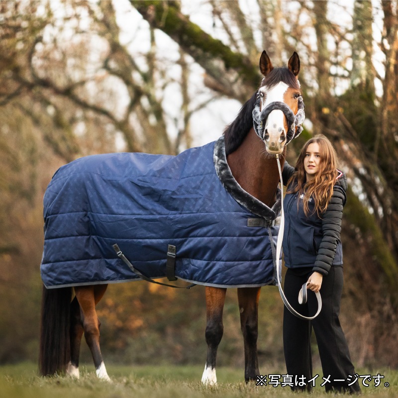 ��P���å��оݡ�Bucas�ʥӥ塼������ ���硼�饤�� ���ơ��֥�饰 150g