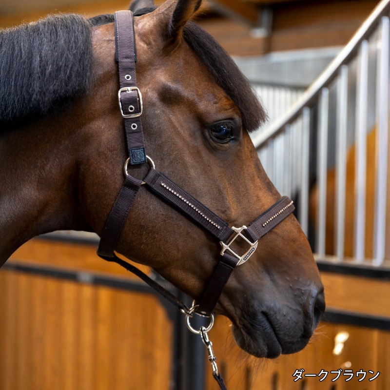 �ڿ���ե�����HARCOUR�ʥ��������˥��ࡼ�� ̵�����ȼꥻ�å�