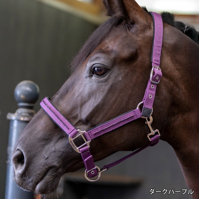 �ڿ���ե�����HARCOUR�ʥ��������˥��ࡼ�� ̵�����ȼꥻ�å�