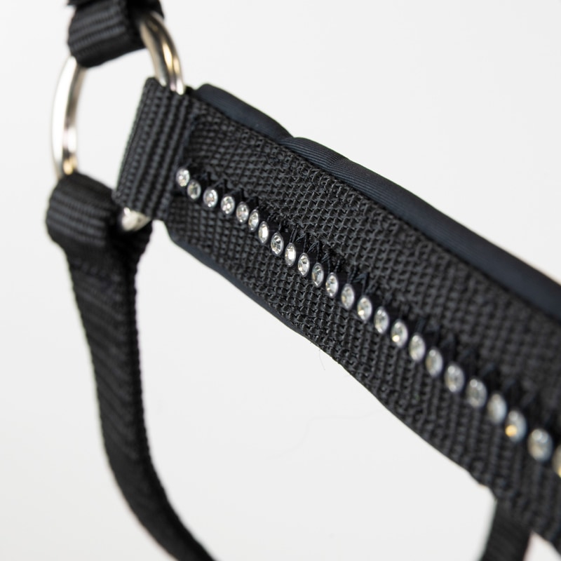 �ڿ���ե�����HARCOUR�ʥ��������˥��ࡼ�� ̵�����ȼꥻ�å�