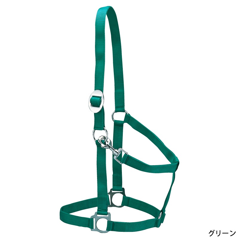 �ʥ�����ۥ륿��