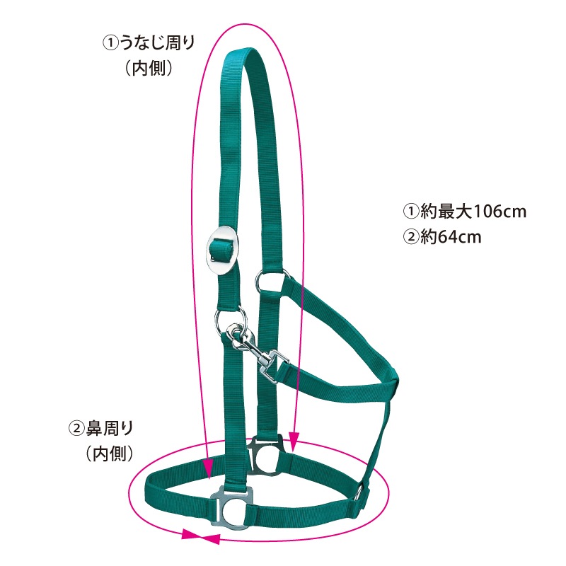 �ʥ�����ۥ륿��