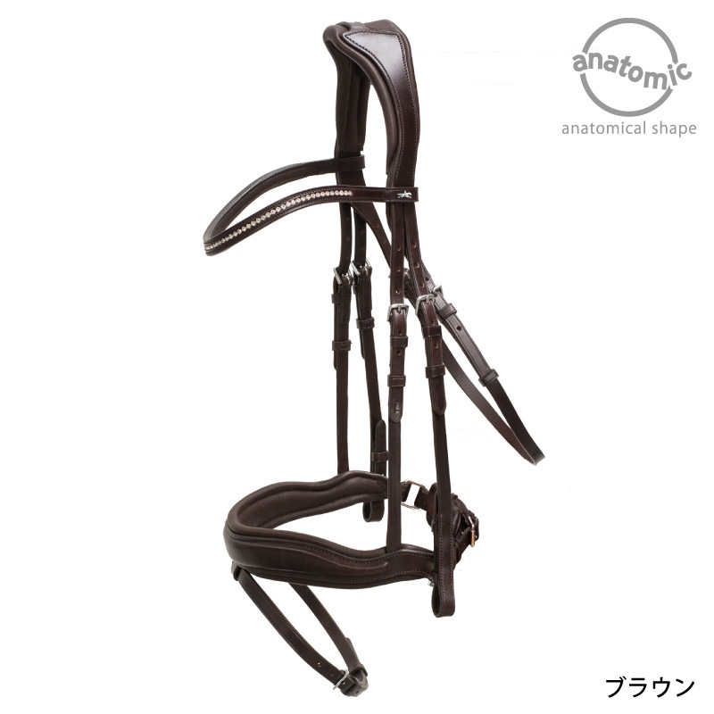 SCHOCKEMOHLE�ʥ���å��ߥ塼��� ������ե����� ����Ƭ��