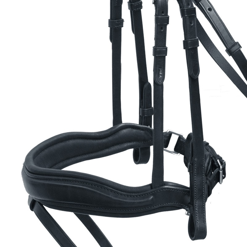 SCHOCKEMOHLE�ʥ���å��ߥ塼��� ������ե����� ����Ƭ��