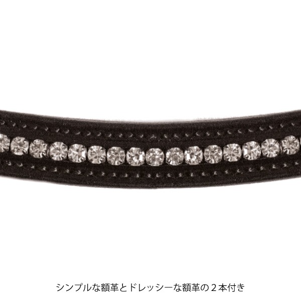 SCHOCKEMOHLE�ʥ���å��ߥ塼��� ������ե����� ����Ƭ��