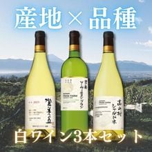 登美の丘 ｜ サントリーのワインショップ ＜カーヴ・ド・ヴァン＞