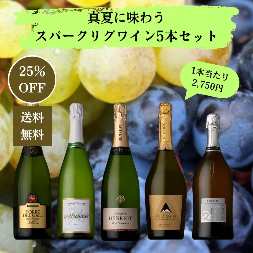 スパークリングワイン 5本セット 送料無料】ワインセット カヴァ 5本