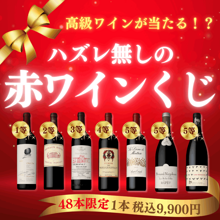 ≪限定48本≫【ハズレ無し】2024年赤ワインくじ｜サントリーのワイン