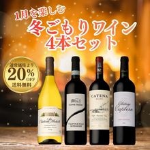 ワインセット ｜ サントリーのワインショップ ＜カーヴ・ド・ヴァン＞