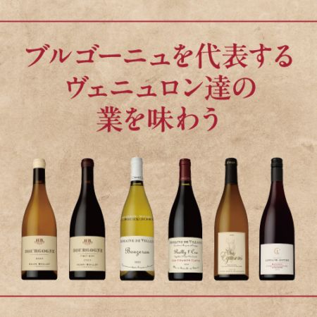 個性派ブルゴーニュ　4本セット 個性派ブルゴーニュ 4本セット 【公式通販】