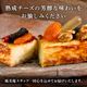 CHEESE CAVERY �������������֥�å� (�ե롼��/�ǥ����ץƥ�����) 1���� �����ȯ�� ����ȯ�� proper �����٥꡼