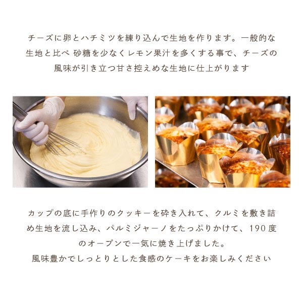 CHEESE CAVERY �������������֥�å�2�糧�å� �ʥ١����å�/�ǥ����ץƥ����� 1�ġ��ե롼��/�ǥ����ץƥ����� 1�ġ� �����ȯ�� ����ȯ�� Agift �����٥꡼