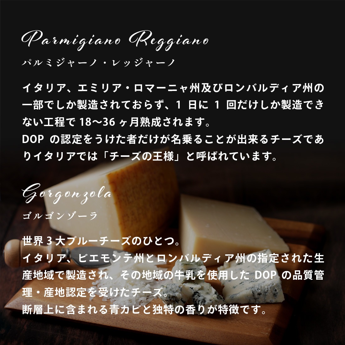 CHEESE CAVERY �������������֥�å�2�糧�å� �ʥ١����å�/�ǥ����ץƥ����� 1�ġ��ե롼��/�ǥ����ץƥ����� 1�ġ� �����ȯ�� ����ȯ�� Agift