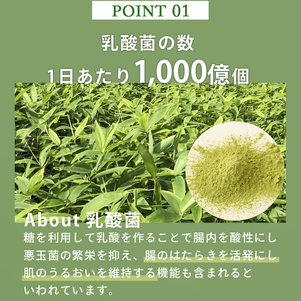 KIREHA キレハ 青汁ドリンク 栄養 おいしい 子供 美味しい  ヘルシー 腸内環境