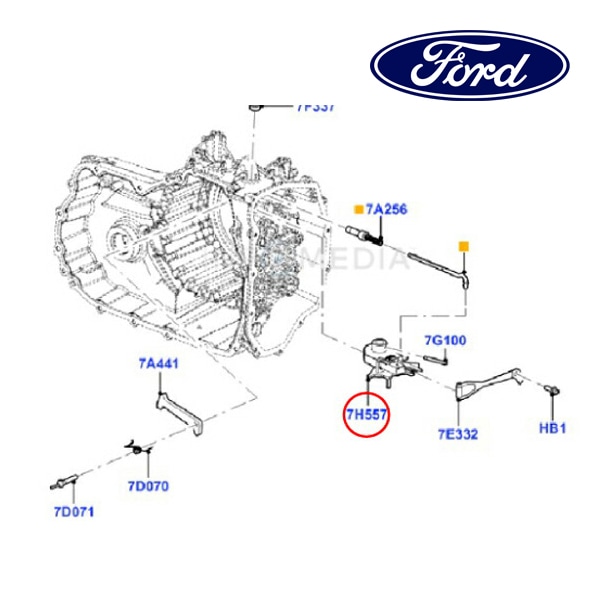 フォード純正 ニュートラル セーフティ スイッチ GN1Z7H557B 11-19y エクスプローラー