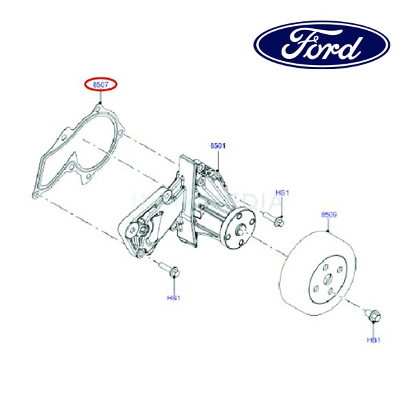 フォード純正 ウォーターポンプ ガスケット 7S7Z8507A 13y- ECOSPORT エコスポーツ