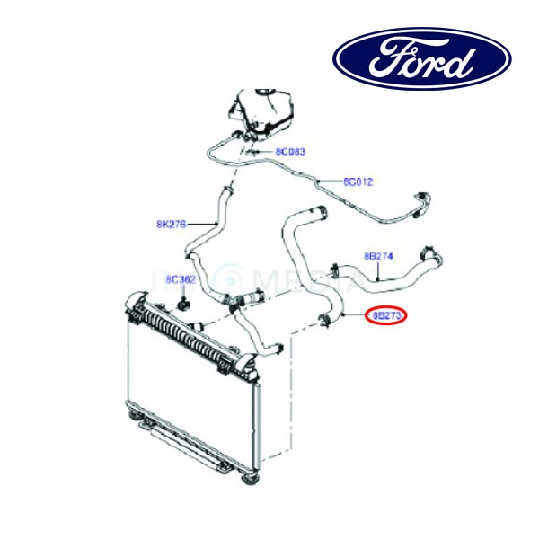 フォード純正 ラジエター ロアーホース CN118B273CB 13y- ECOSPORT エコスポーツ