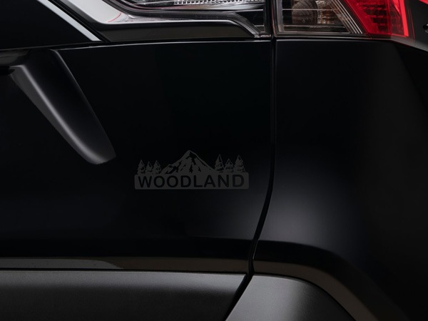 USトヨタ純正 TOYOTA RAV4 50系 平成31年4月-令和7年12月 Woodland Edition デカール グレー リアゲート用