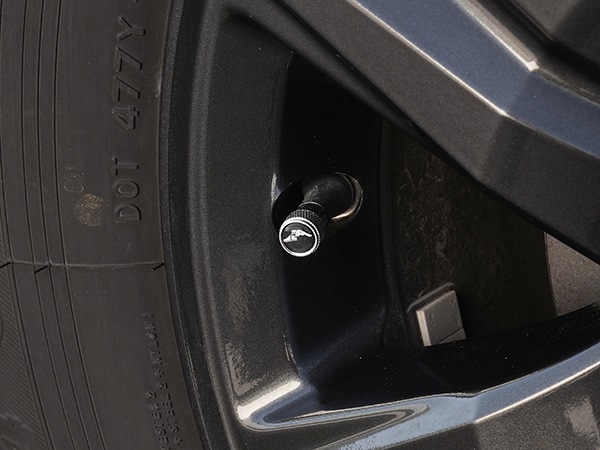 【GOODYEAR 正規品】 エアバルブキャップ 1台分 4個セット ウイングフット ホワイトロゴ シルバー 樹脂製ステッカー グッドイヤー