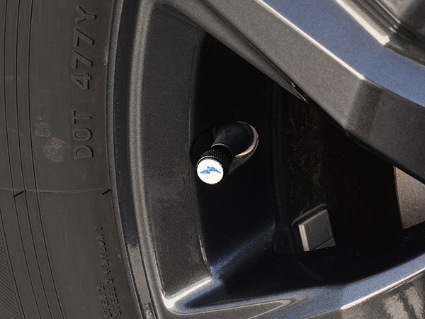 【GOODYEAR 正規品】 エアバルブキャップ 1台分 4個セット ウイングフット ブルーロゴ ブラック 樹脂製ステッカー グッドイヤー