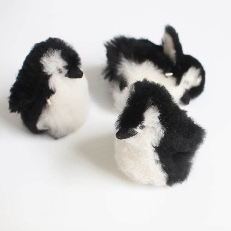 MAITE マイテ｜ふわふわペンギン