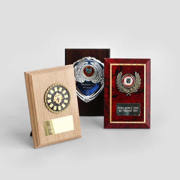 VINTAGE｜Lawn Bowls Memorabilia Plaques #4
