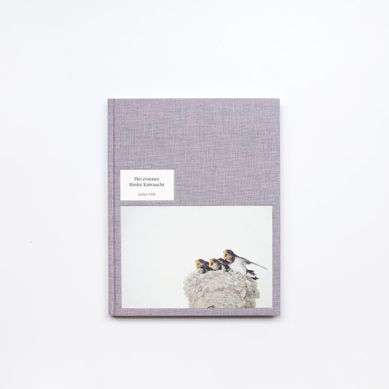 Des Oiseaux by Rinko Kawauchi