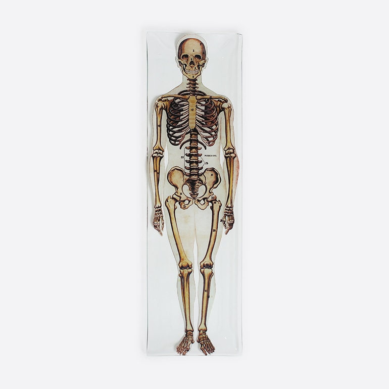 PUEBCO プエブコ｜PRINTED GLASS TRAY Skeleton