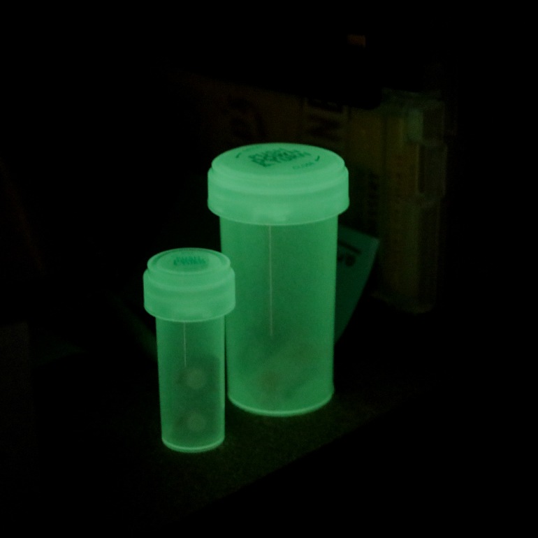 MEDICAL CASE / GLOW IN THE DARK ピルケース【S】