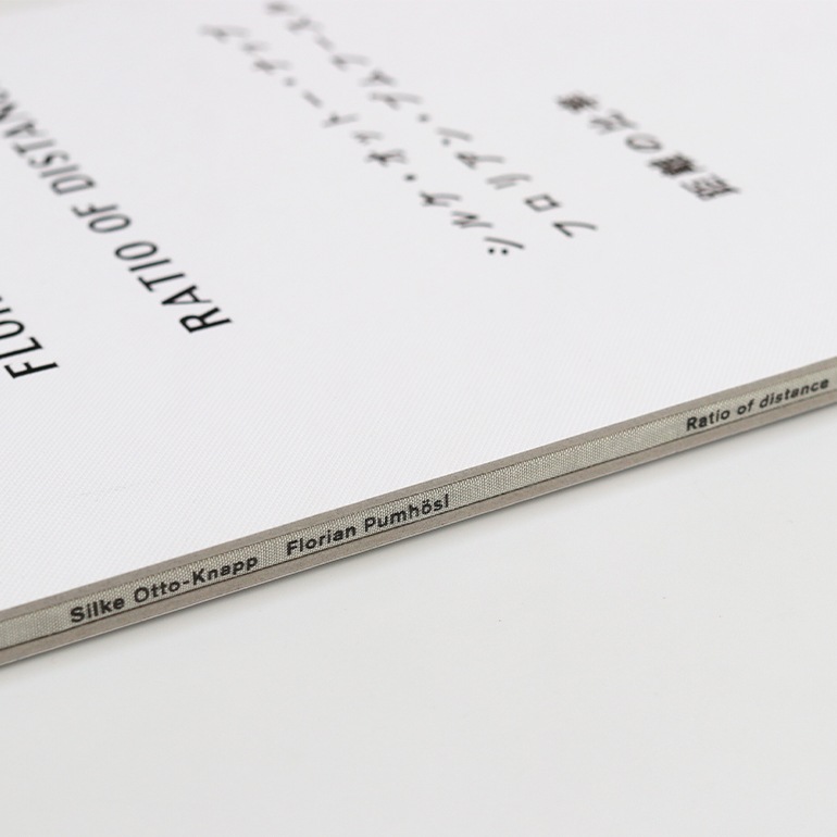 RATIO OF DISTANCE by Silke Otto-Knapp, Florian Pumhosl