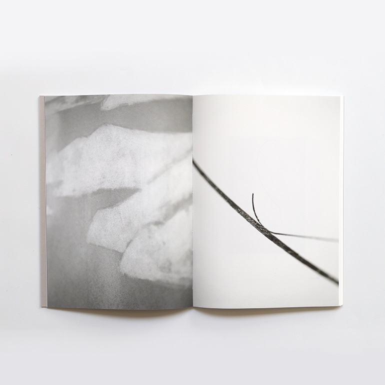 RATIO OF DISTANCE by Silke Otto-Knapp, Florian Pumhosl