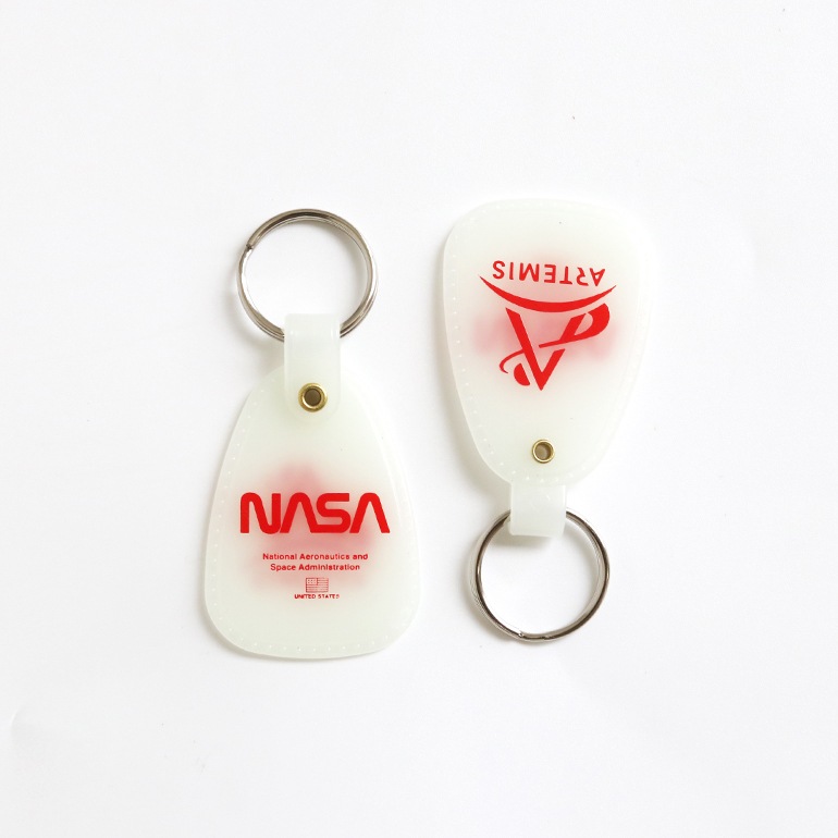 NASA WESTERN SADDLE KEY RING