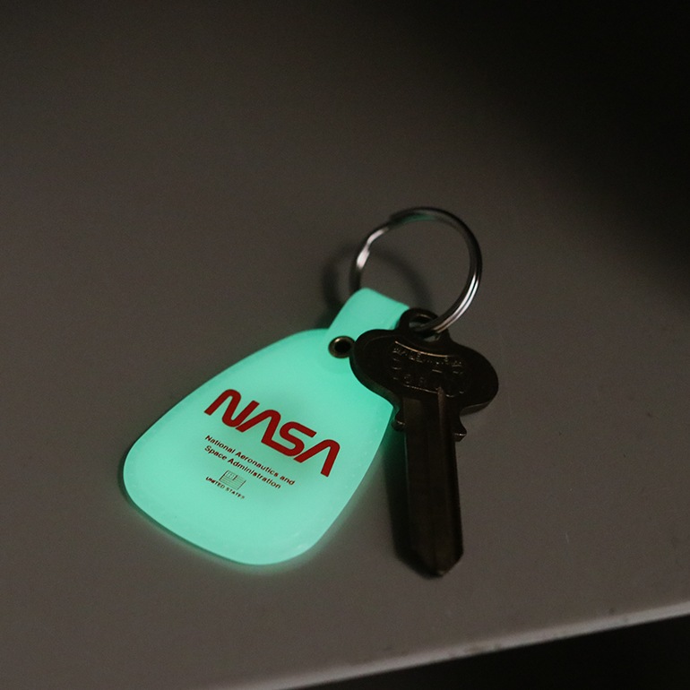 NASA WESTERN SADDLE KEY RING