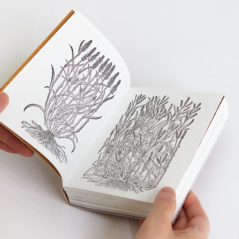 【再入荷未定】TANE GARDEN HOUSE by Tsuyoshi Tane