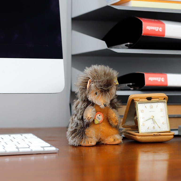 VINTAGE｜Steiff Hedgehog Joggi