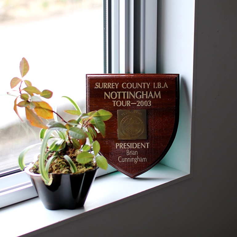 VINTAGE｜Lawn Bowls Memorabilia Plaques #8