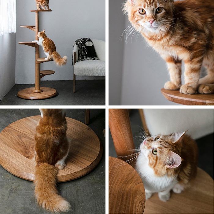 & CAT アンドキャット｜KINOBORI キャットタワー