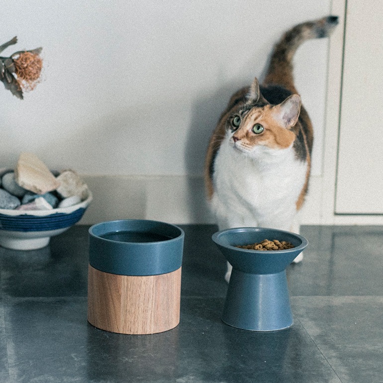 & CAT アンドキャット｜HM BOWL ウォーターボウル