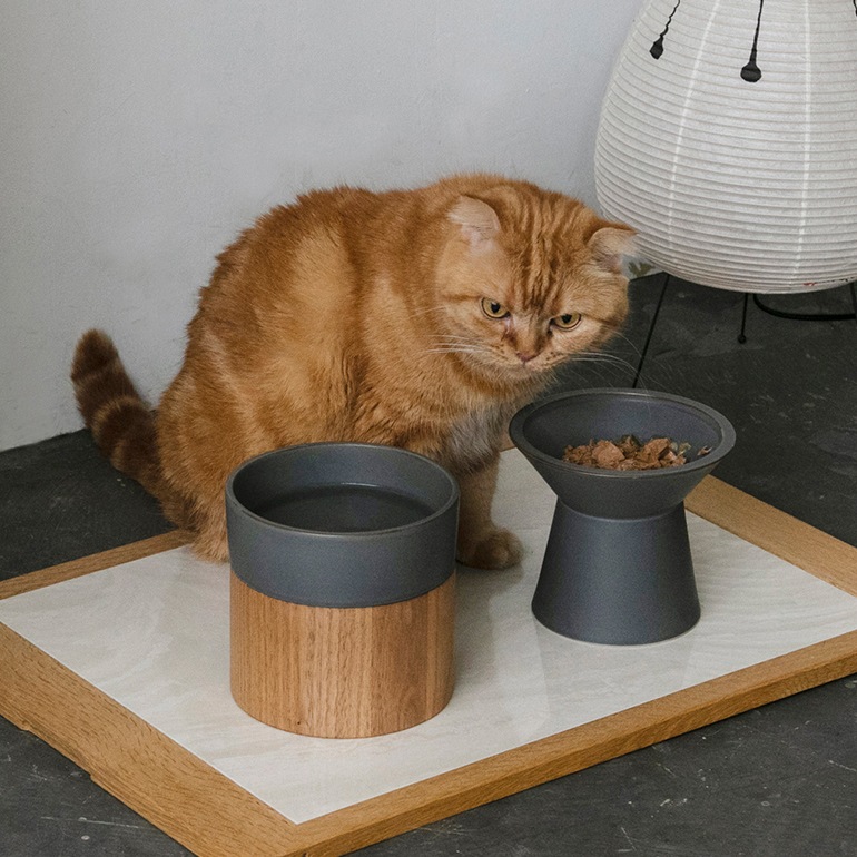 & CAT アンドキャット｜HM BOWL ウォーターボウル