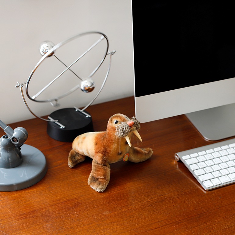 VINTAGE｜Steiff Walrus Paddy