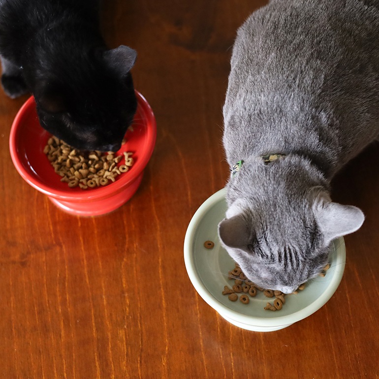 HASAMI ハサミ｜フードボウル 16cm